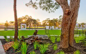 220725 5 reasons to build in Bushmead 457x288