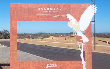 220725 BUSH Blog - Snap Your Bushmead South Moment! 457x288