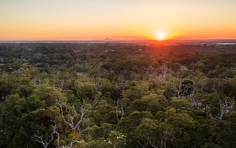 220725 Bushmead & Surrounds 457x288