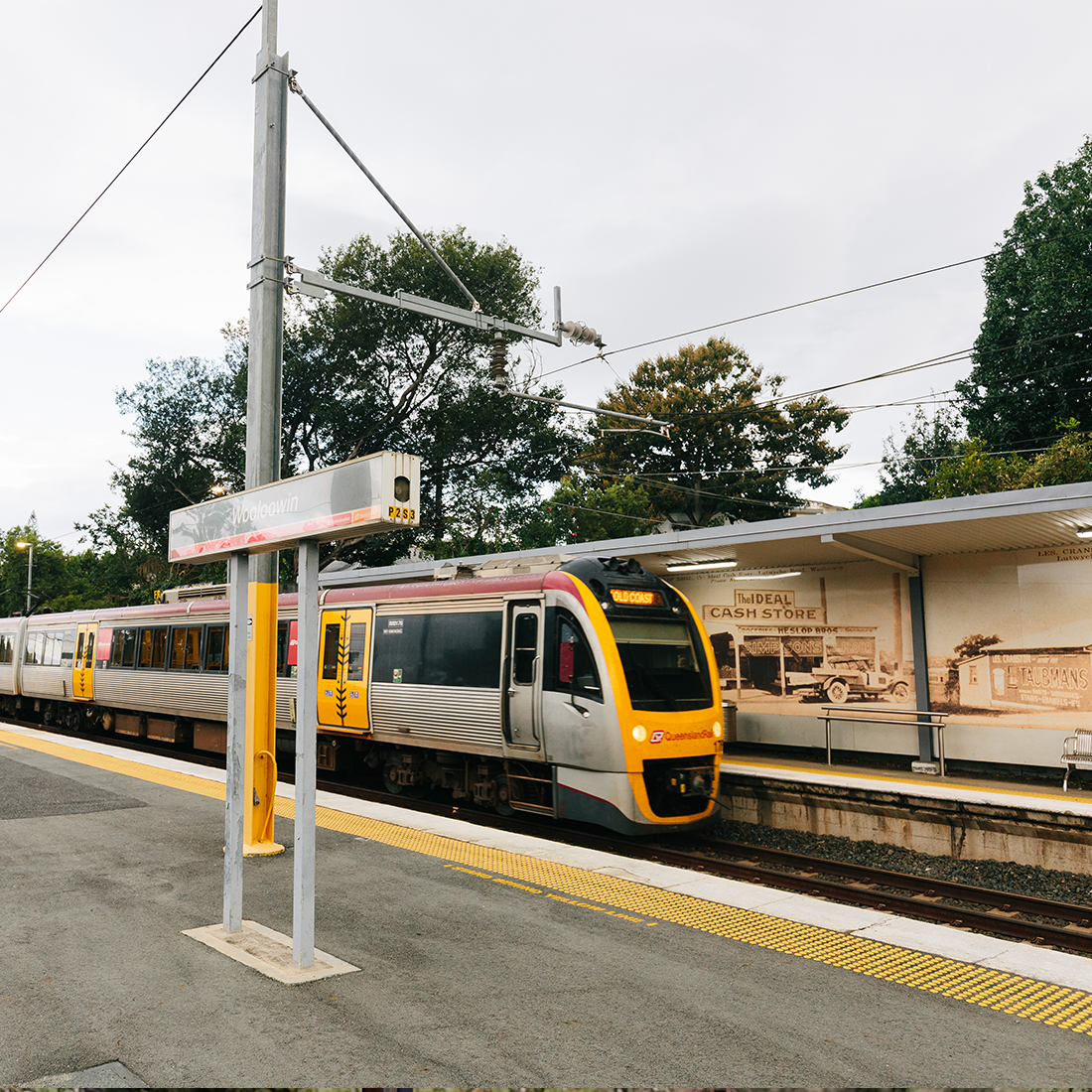 240710_GRE_Wooloowin-Blog