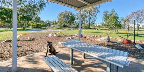 M23S_Baldivis dog park