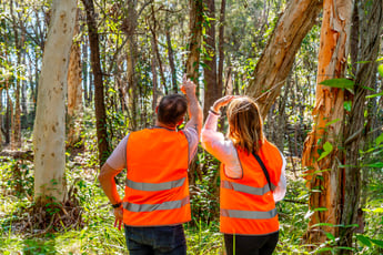 Featured photo of Sustainable Living with Wildlife in Queensland