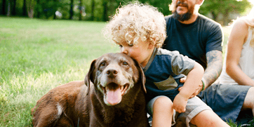 240829_Flourish Fire Ant Blog Feature