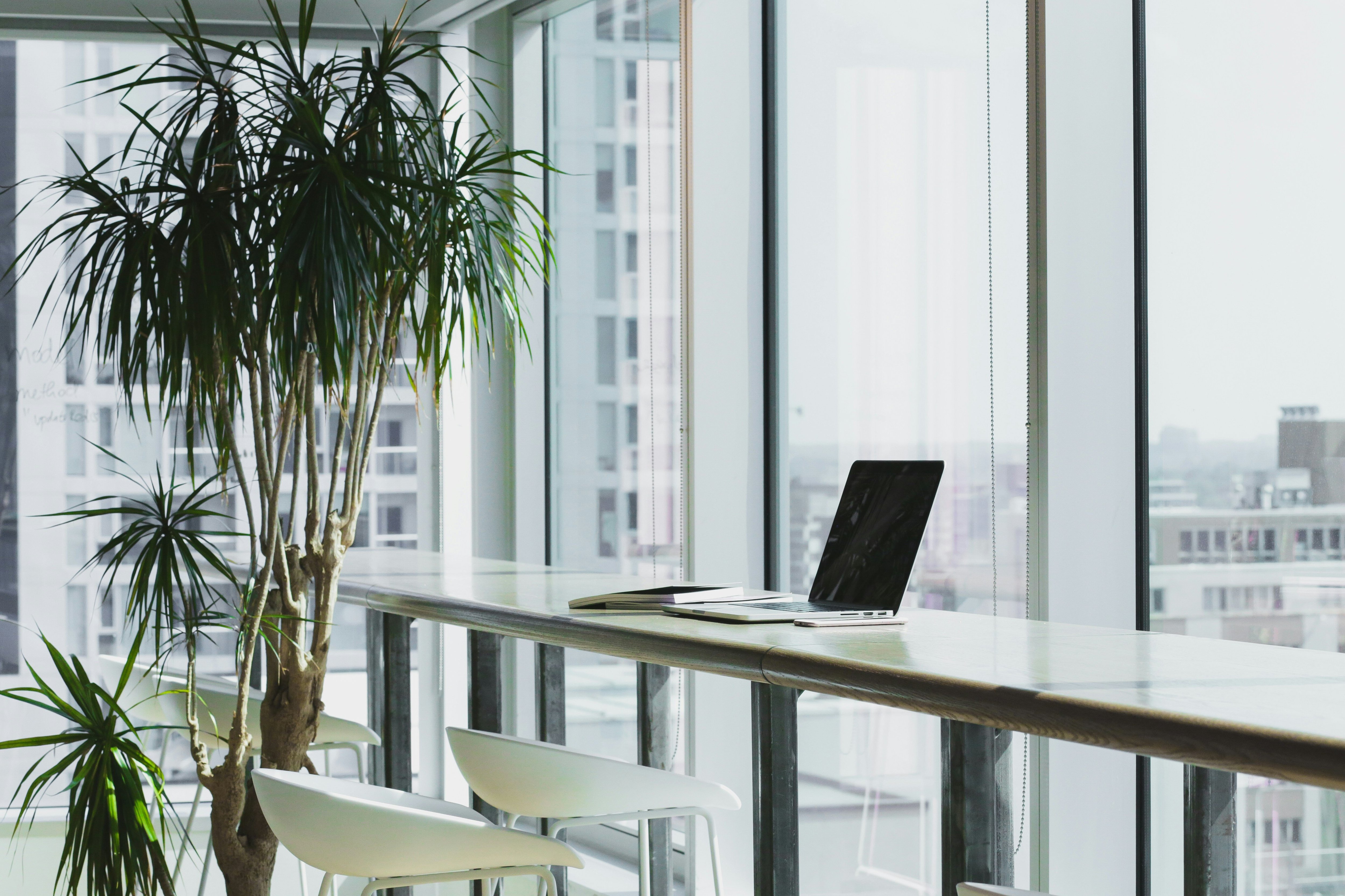 5 tips to maximise natural light in your office