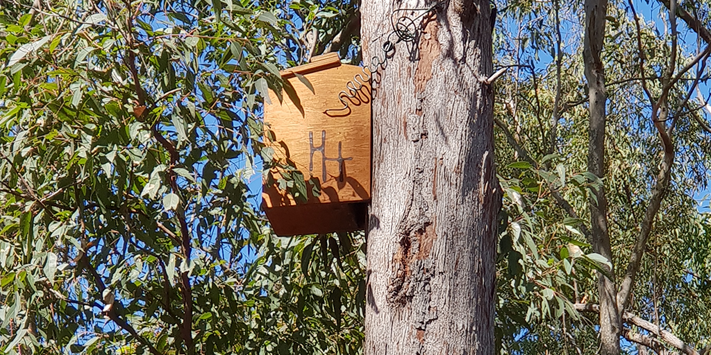 240805_Sage_Nesting Boxes Banner